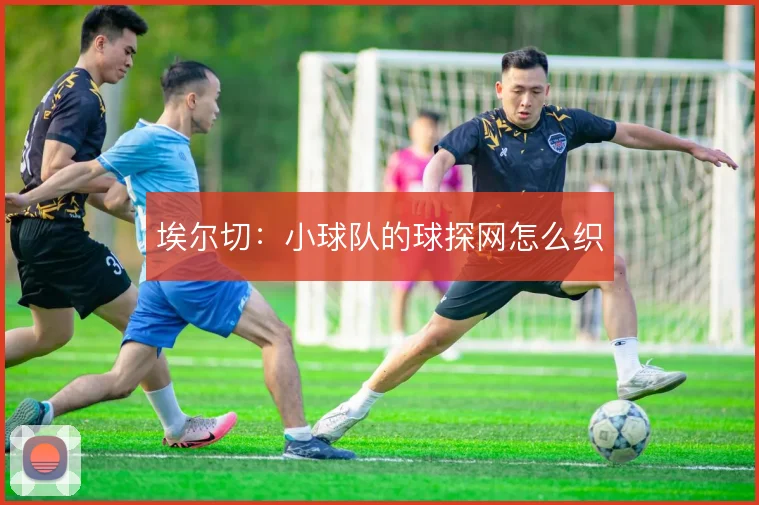 埃尔切：小球队的球探网怎么织